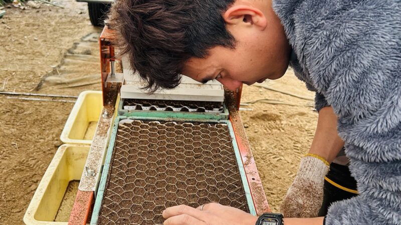飛騨ねぎの播種が終わりました!